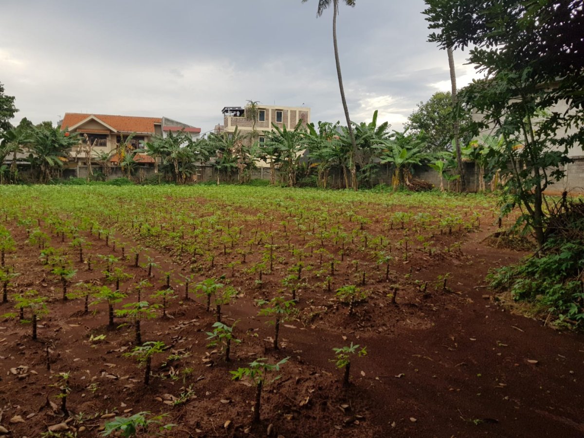 Jual Tanah Kosong di Cipayung Jakarta Timur AL - Foto 2