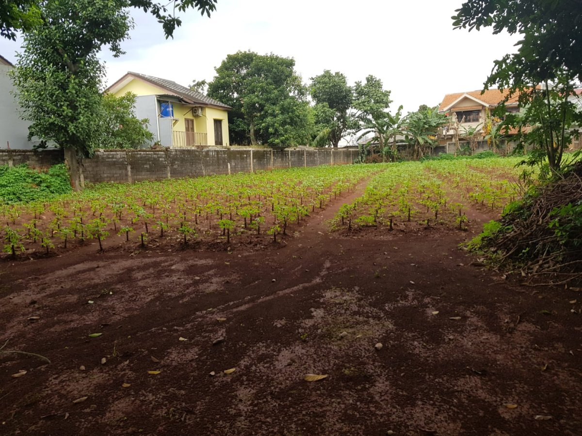 Jual Tanah Kosong di Cipayung Jakarta Timur AL - Foto 3