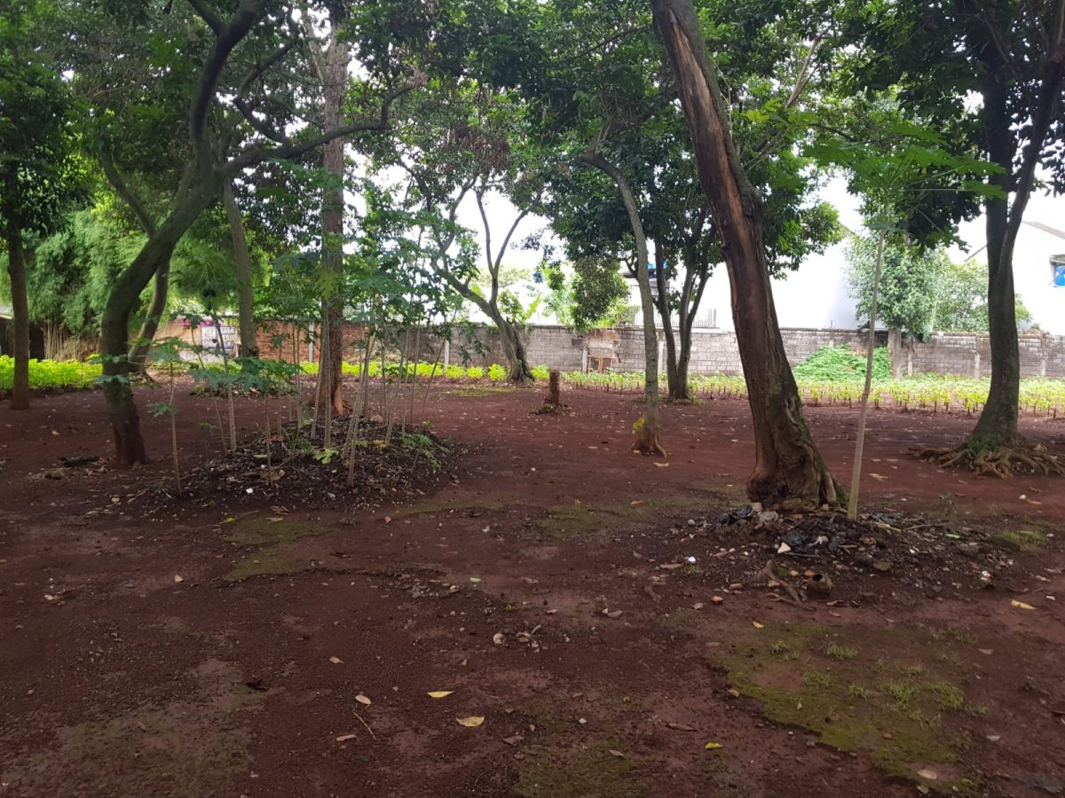 Jual Tanah Kosong di Cipayung Jakarta Timur AL - Foto 4