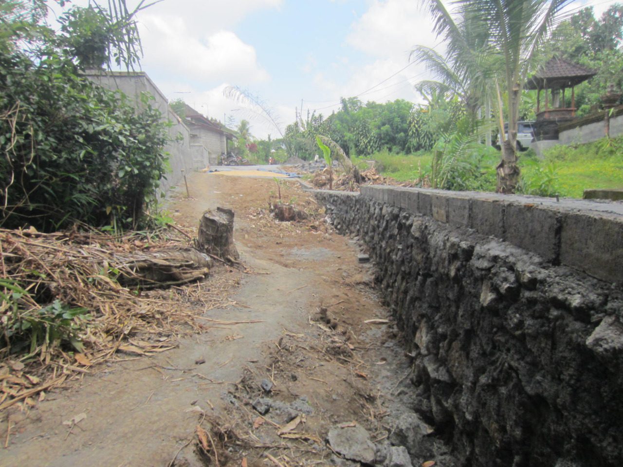 Development Freehold Land – Gianyar - Foto 7