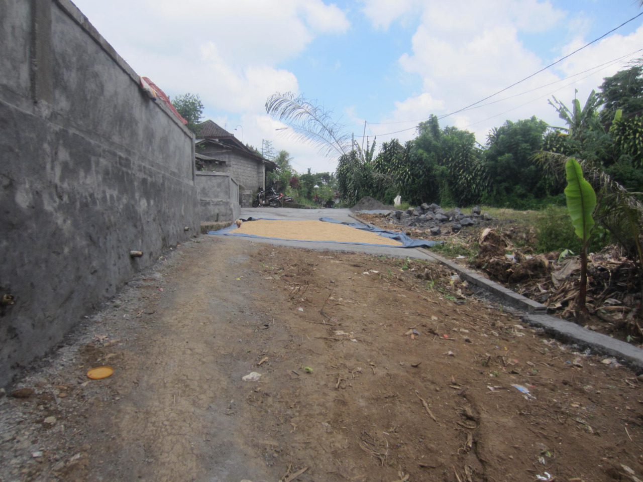 Development Freehold Land – Gianyar - Foto 8