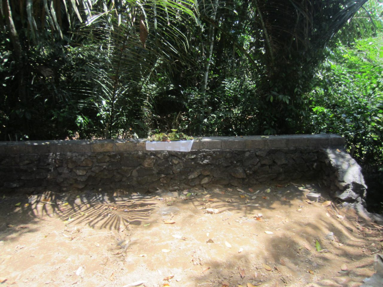 Development Freehold Land – Gianyar - Foto 3