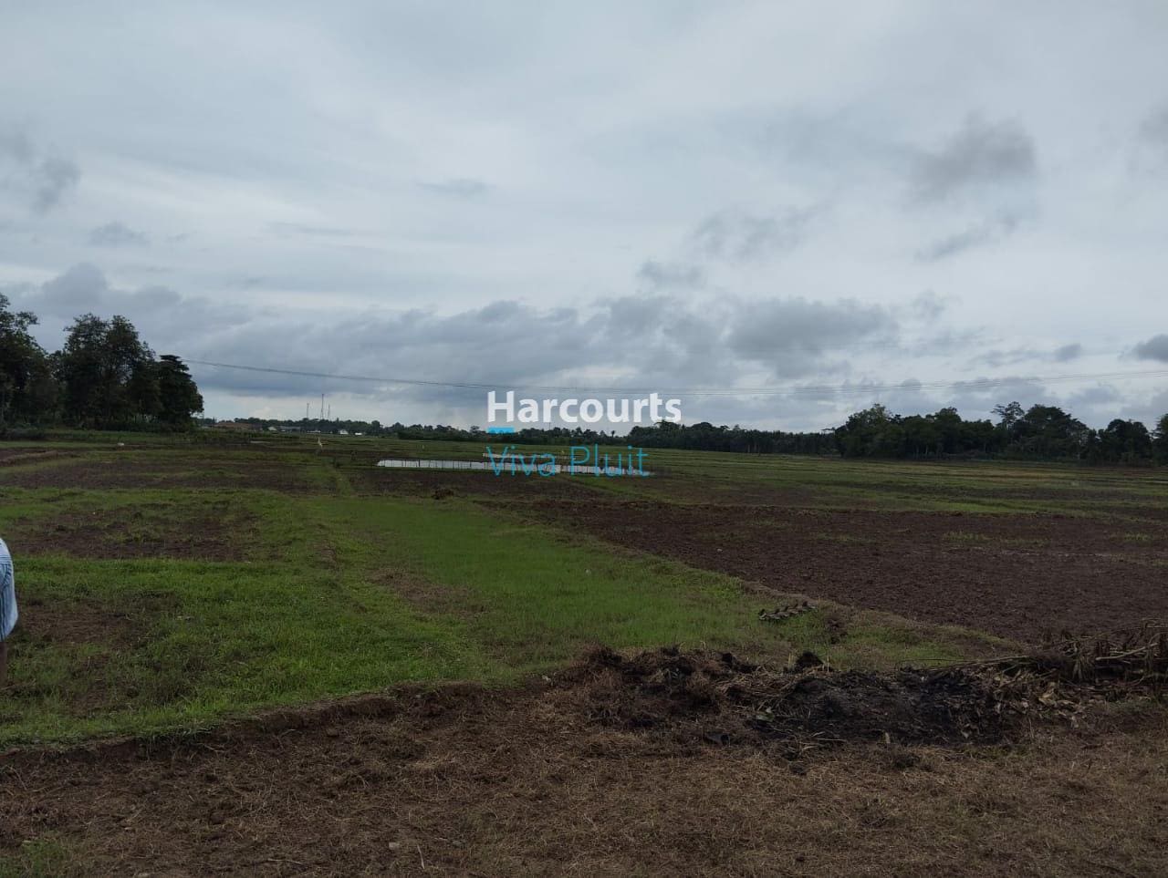 Jual Tanah Darat Sawah di Jl. Pamarayan Wirana Damping, Serang - Foto 3