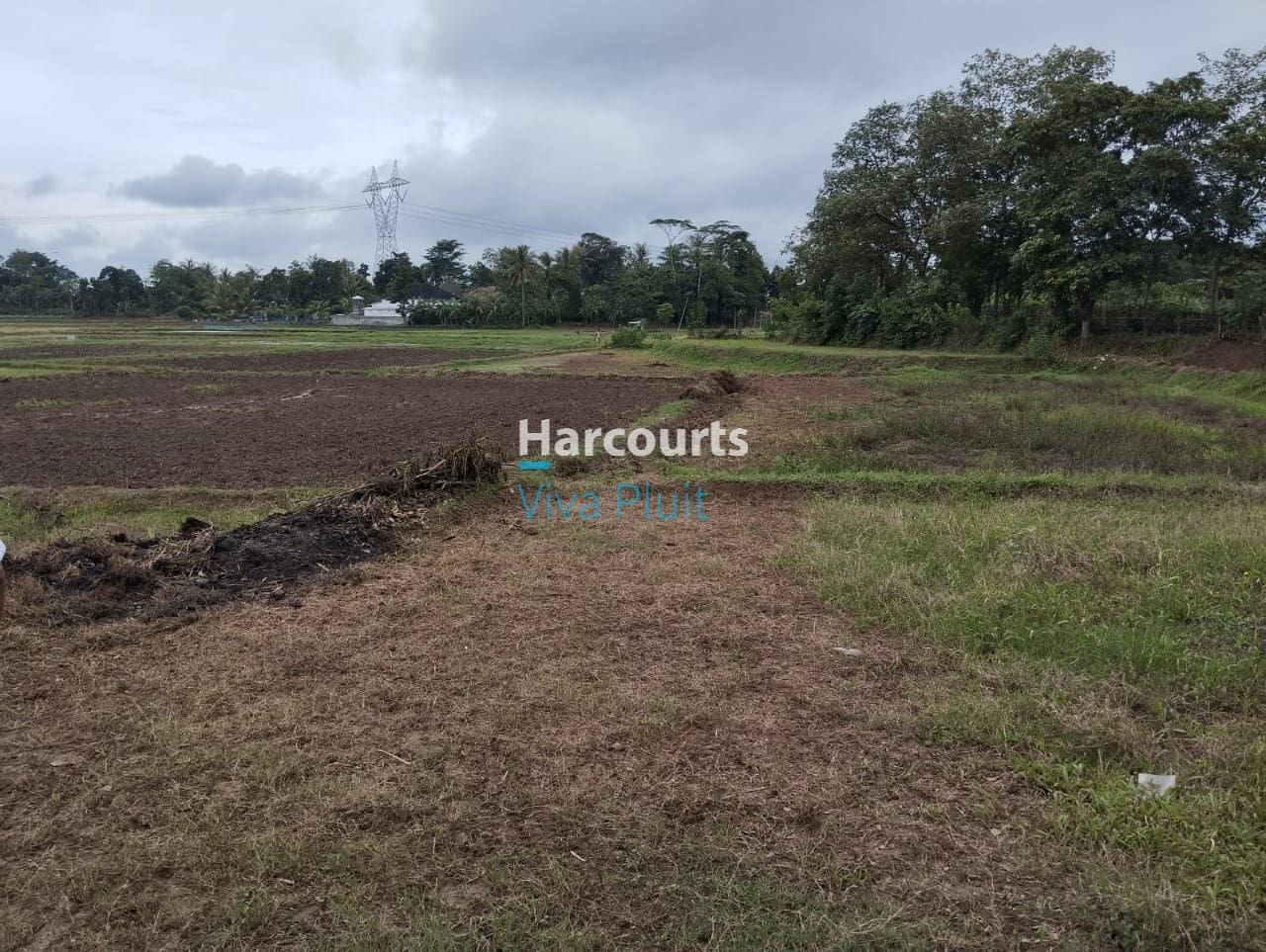 Jual Tanah Darat Sawah di Jl. Pamarayan Wirana Damping, Serang - Foto 4