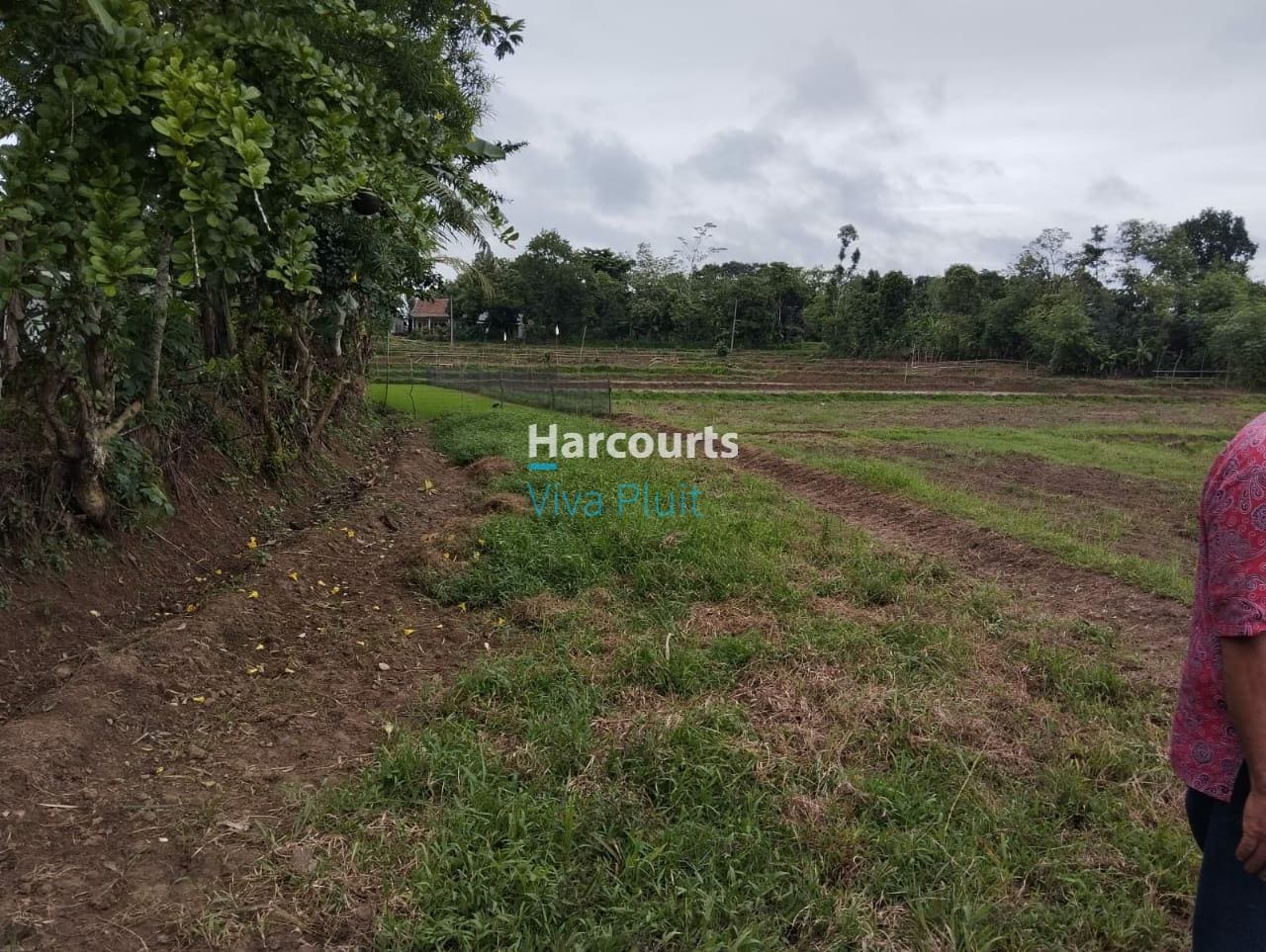 Jual Tanah Darat Sawah di Jl. Pamarayan Wirana Damping, Serang - Foto 5