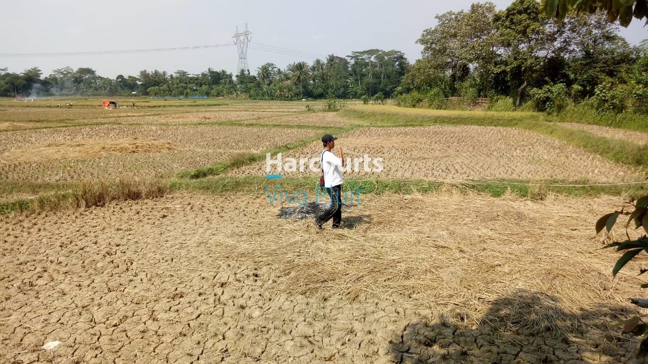 Jual Tanah Darat Sawah di Jl. Pamarayan Wirana Damping, Serang - Foto 2