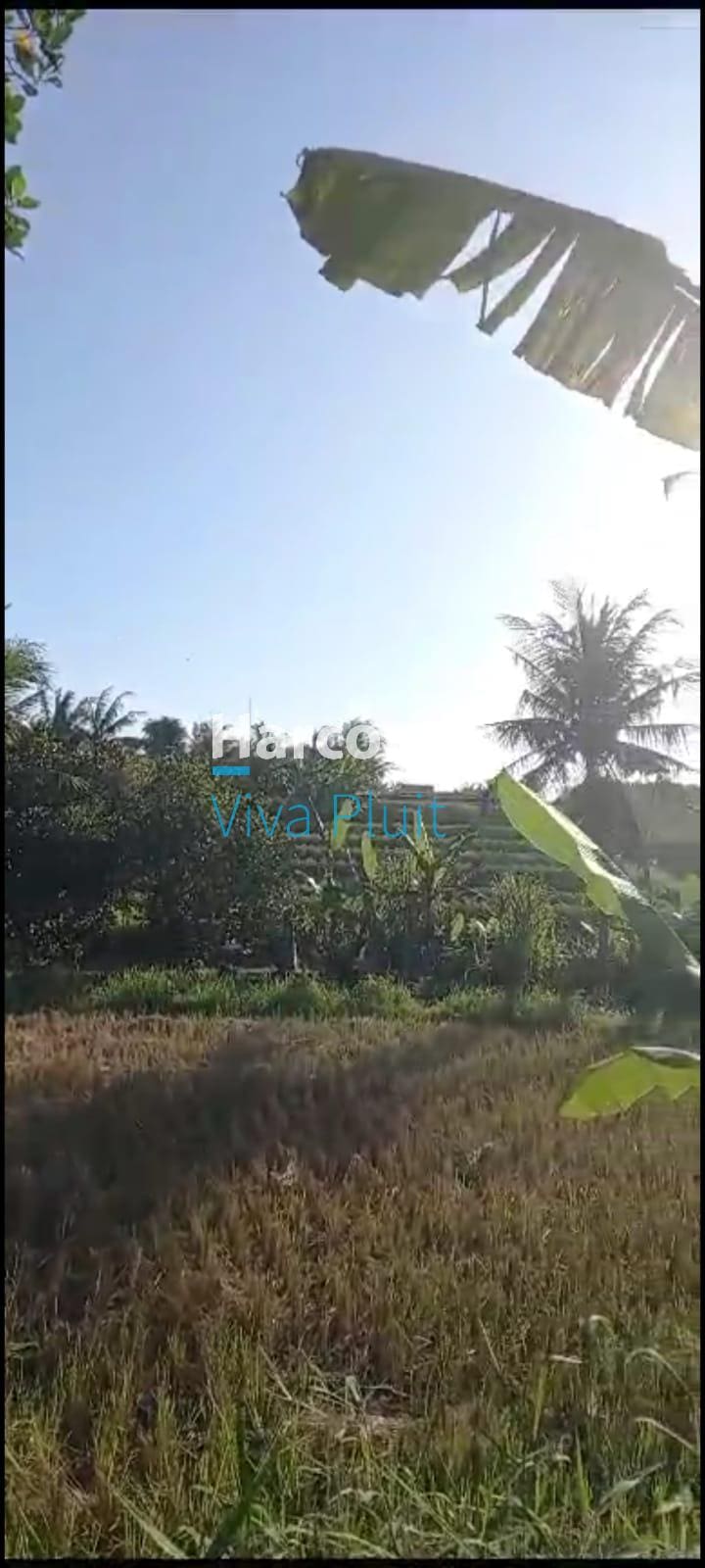 Dijual Tanah Jl. Raya Krasan, Badung, Bali. Lokasi Strategis, Harga Nego - Foto 2