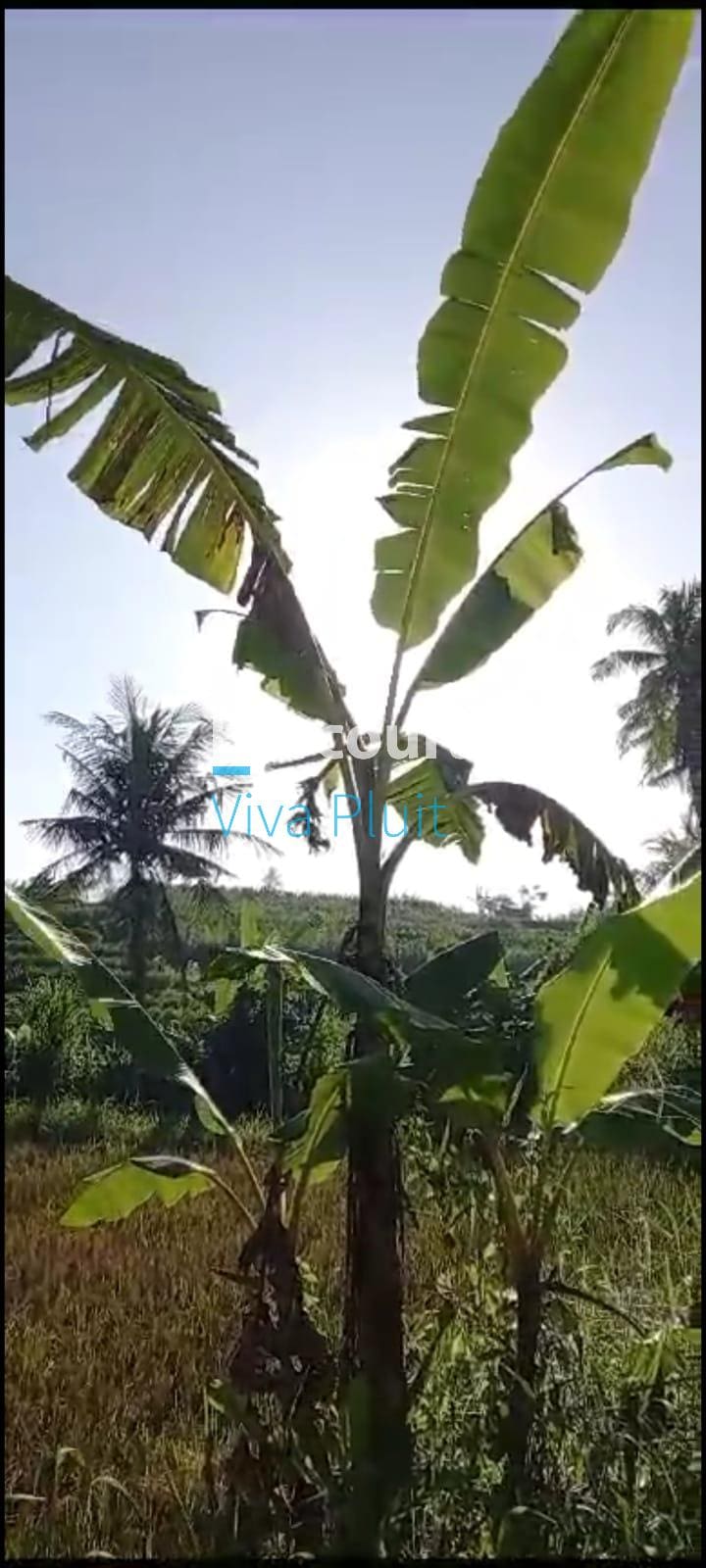 Dijual Tanah Jl. Raya Krasan, Badung, Bali. Lokasi Strategis, Harga Nego - Foto 3