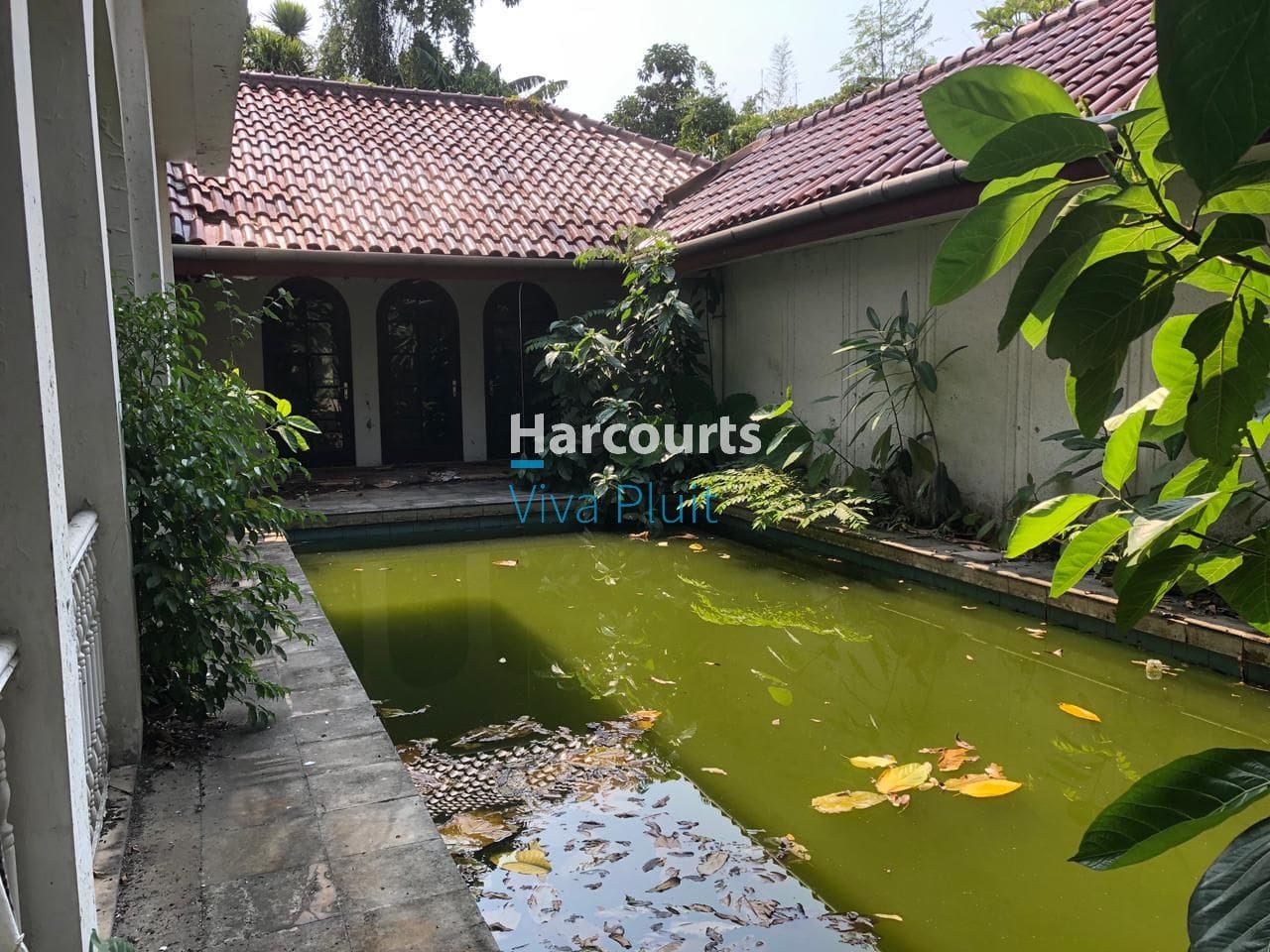 Dijual Rumah Tua di Kemang, Jakarta Selatan. Harga Murah Hitung Tanah