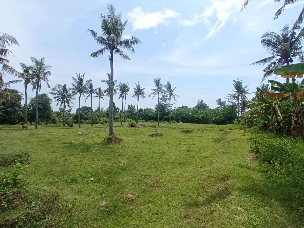 Freehold Land , House, &amp; Factory in Negara - Foto 8