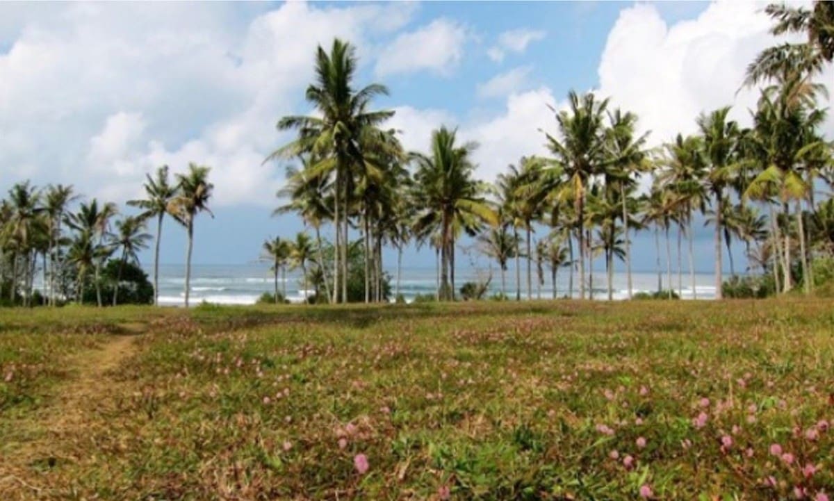 Ultimate Freehold Land With 215m Beach Frontage – Medewi - Foto 2