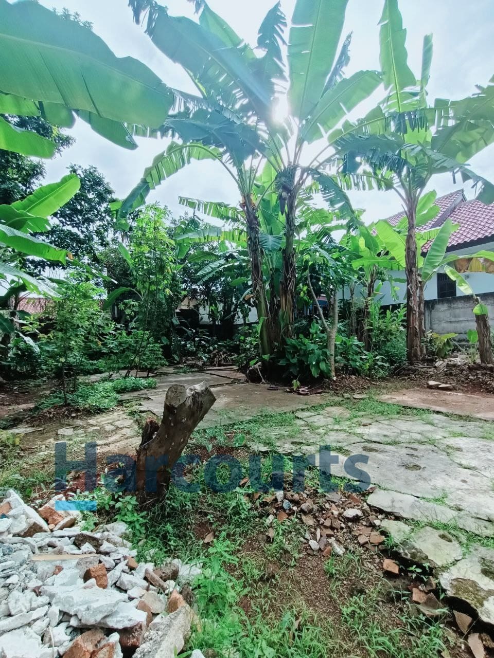 Jual Tanah Kavling harga NJOP di daerah Kebagusan Pasar Minggu Jakarta Selatan (BM) - Foto 4