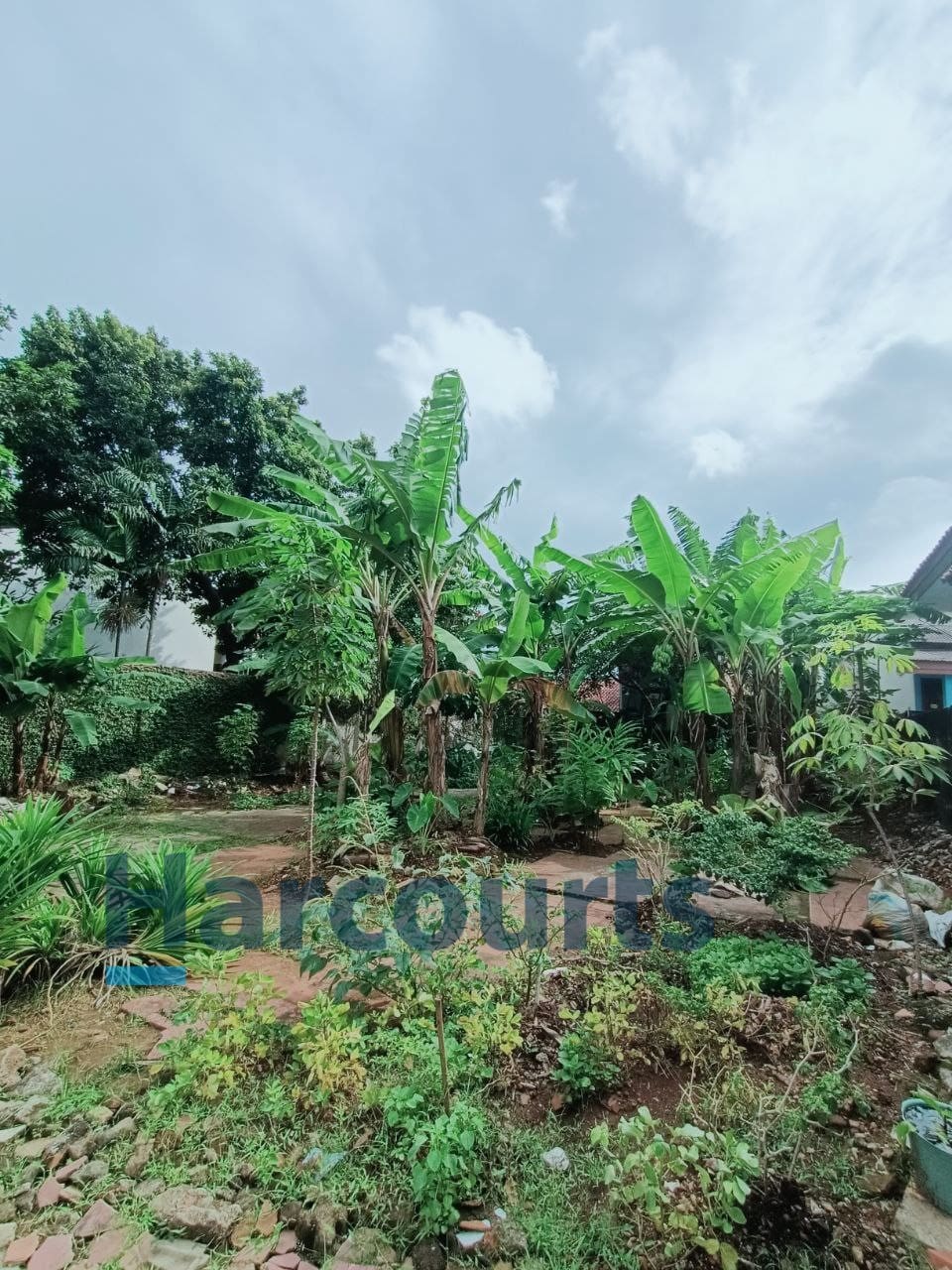 Jual Tanah Kavling harga NJOP di daerah Kebagusan Pasar Minggu Jakarta Selatan (BM) - Foto 5