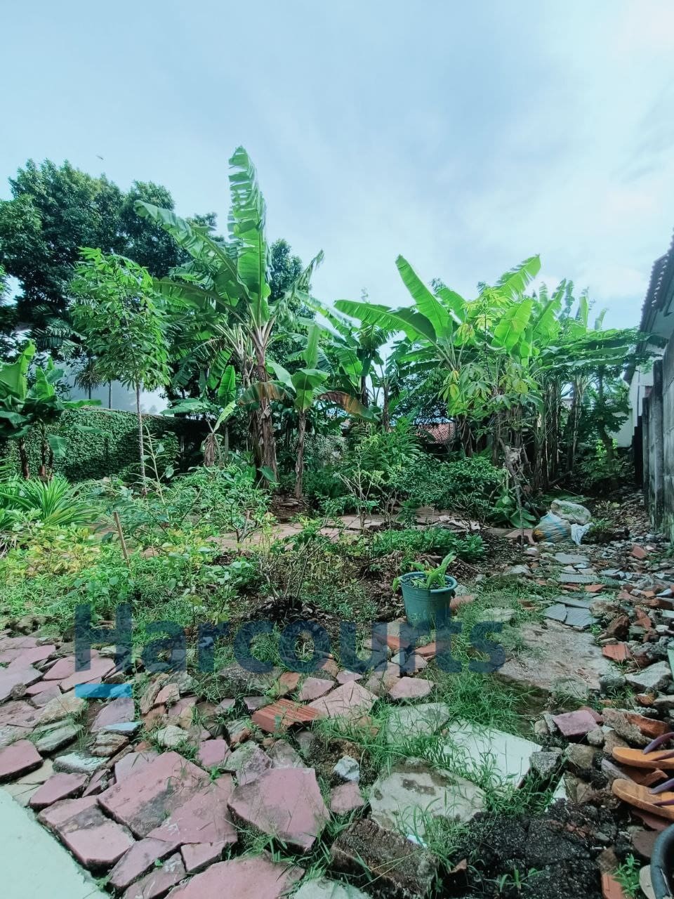 Jual Tanah Kavling harga NJOP di daerah Kebagusan Pasar Minggu Jakarta Selatan (BM) - Foto 6