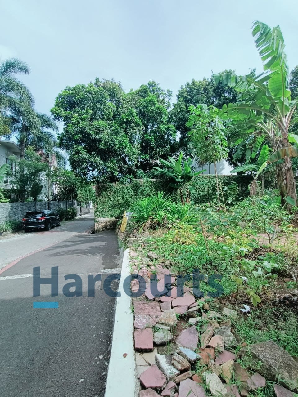 Jual Tanah Kavling harga NJOP di daerah Kebagusan Pasar Minggu Jakarta Selatan (BM) - Foto 7