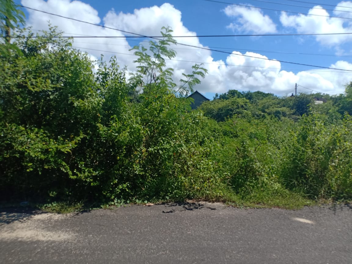 19.5 Are Land Plot Sale, Pandawa - Foto 3