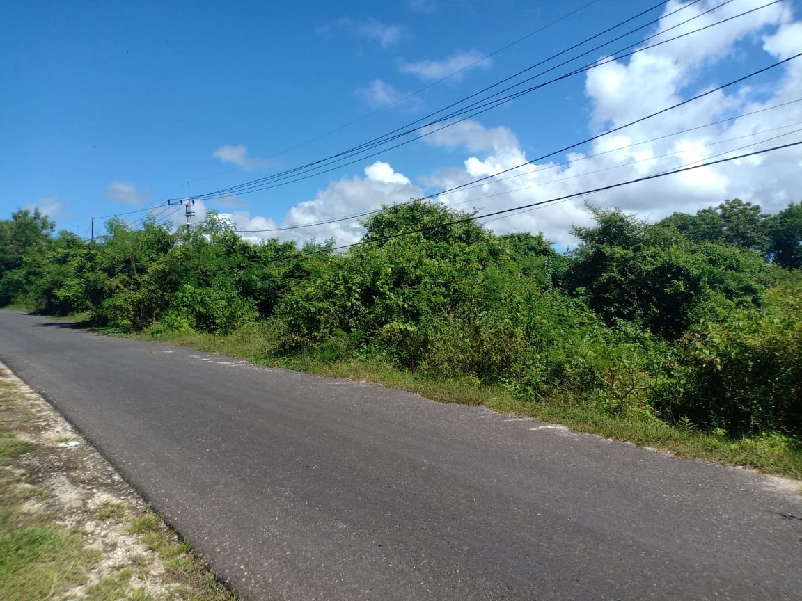 19.5 Are Land Plot Sale, Pandawa - Foto 4