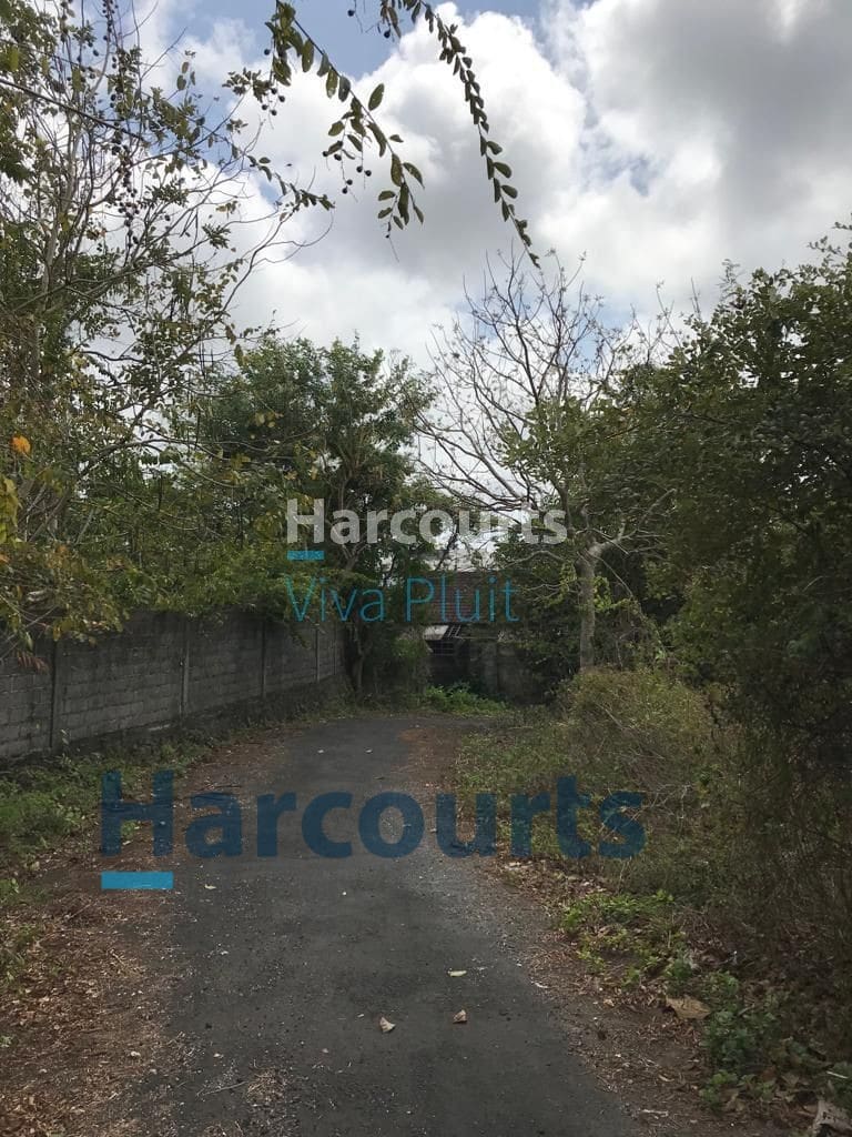 Dijual Tanah Ungasan Badung, Kuta Selatan, Bali. Harga Murah Nego! - Foto 4