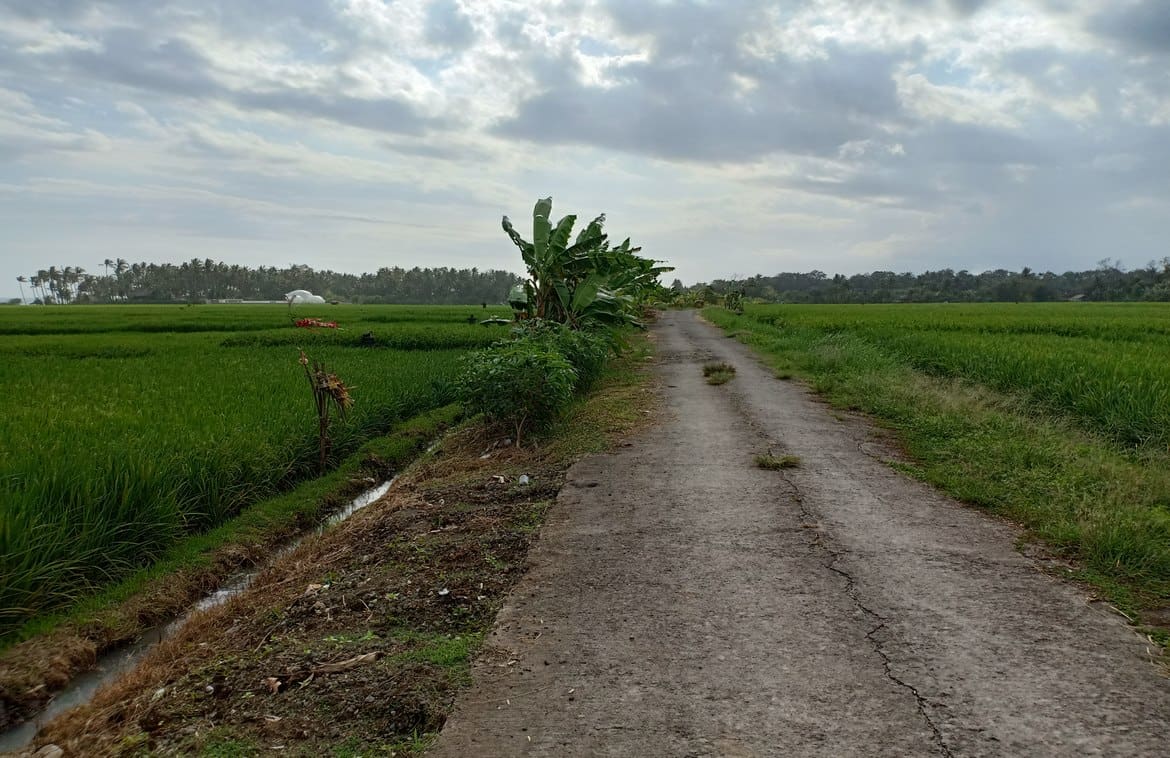 Massive absolute beachfront plot in Pasut - Foto 2