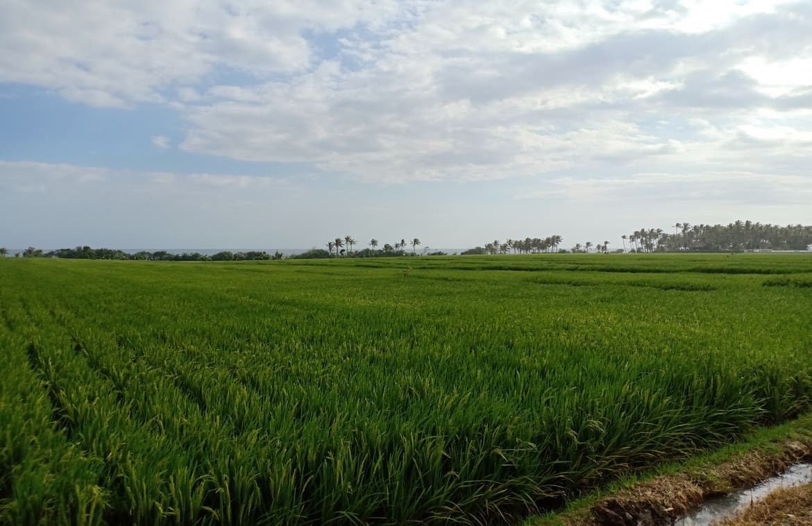 Massive absolute beachfront plot in Pasut - Foto 7