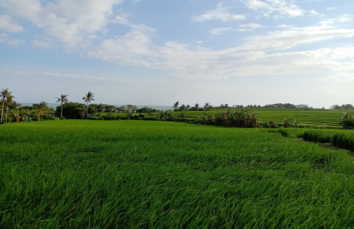 Massive absolute beachfront plot in Pasut - Foto 8