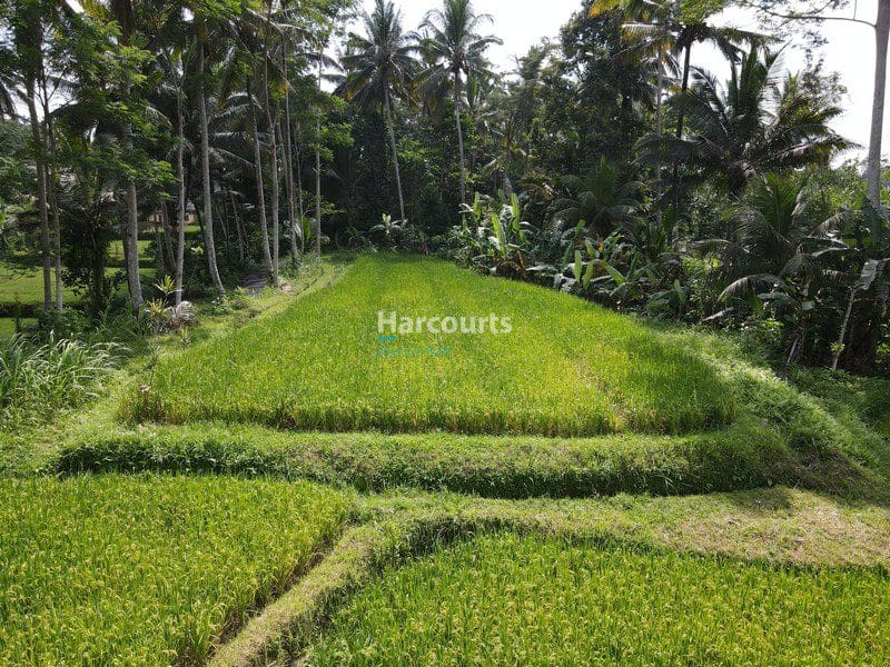 Beautiful Ubud Building Plot - Foto 2