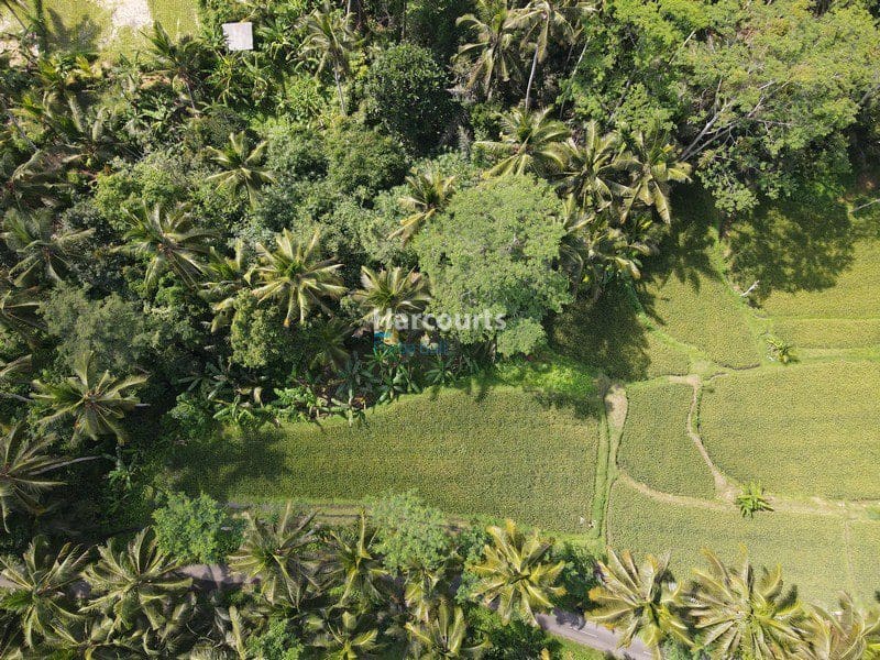 Beautiful Ubud Building Plot - Foto 3