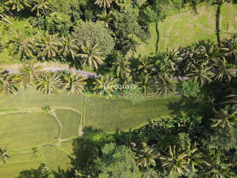 Beautiful Ubud Building Plot - Foto 4