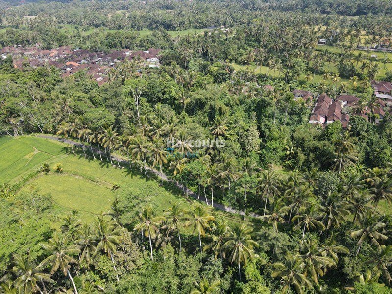 Beautiful Ubud Building Plot - Foto 5