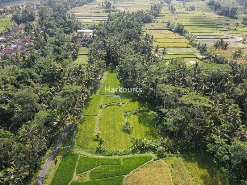Beautiful Ubud Building Plot - Foto 6