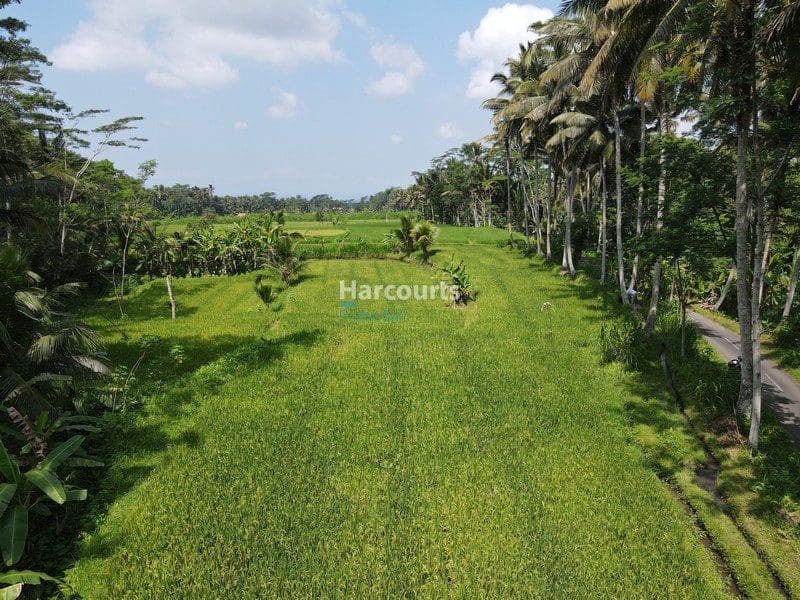 Beautiful Ubud Building Plot - Foto 7