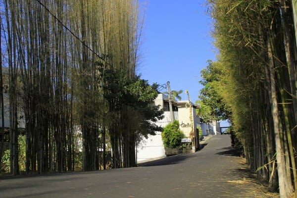 Luxury &amp; Views Over Benoa Harbour - Foto 4