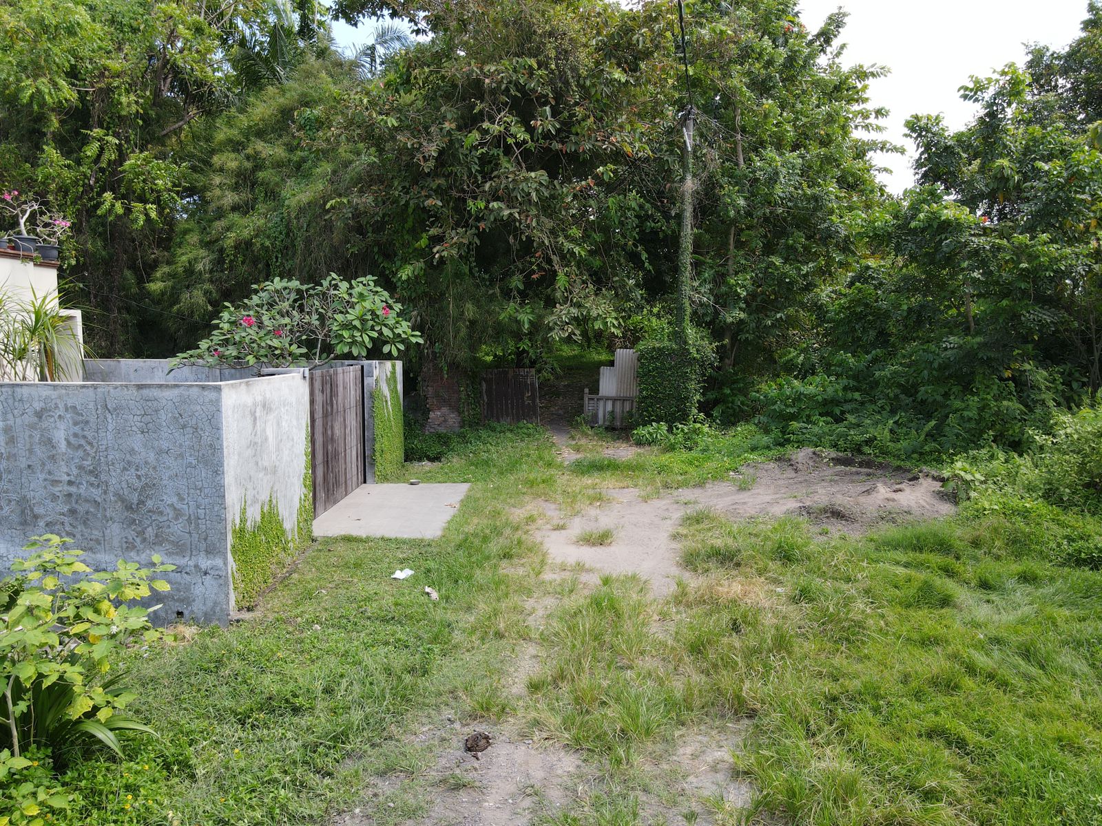 Freehold Riverfront Oasis In Popular Pererenan - Foto 5