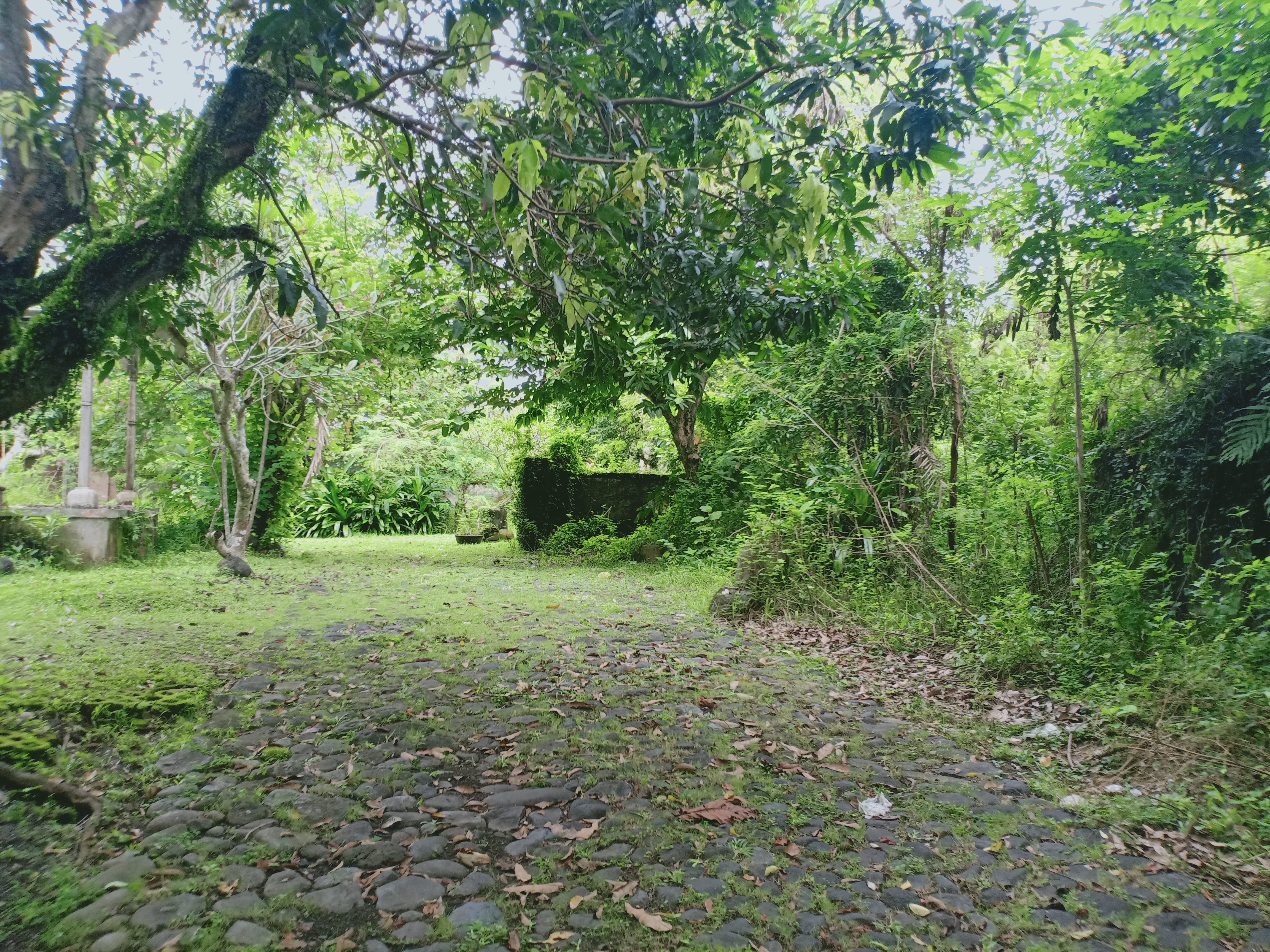 Freehold Riverfront Oasis In Popular Pererenan - Foto 3