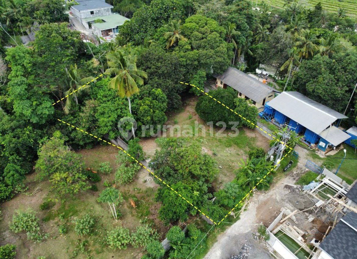 Exclusive Plot of Land for Sale Freehold - Foto 7