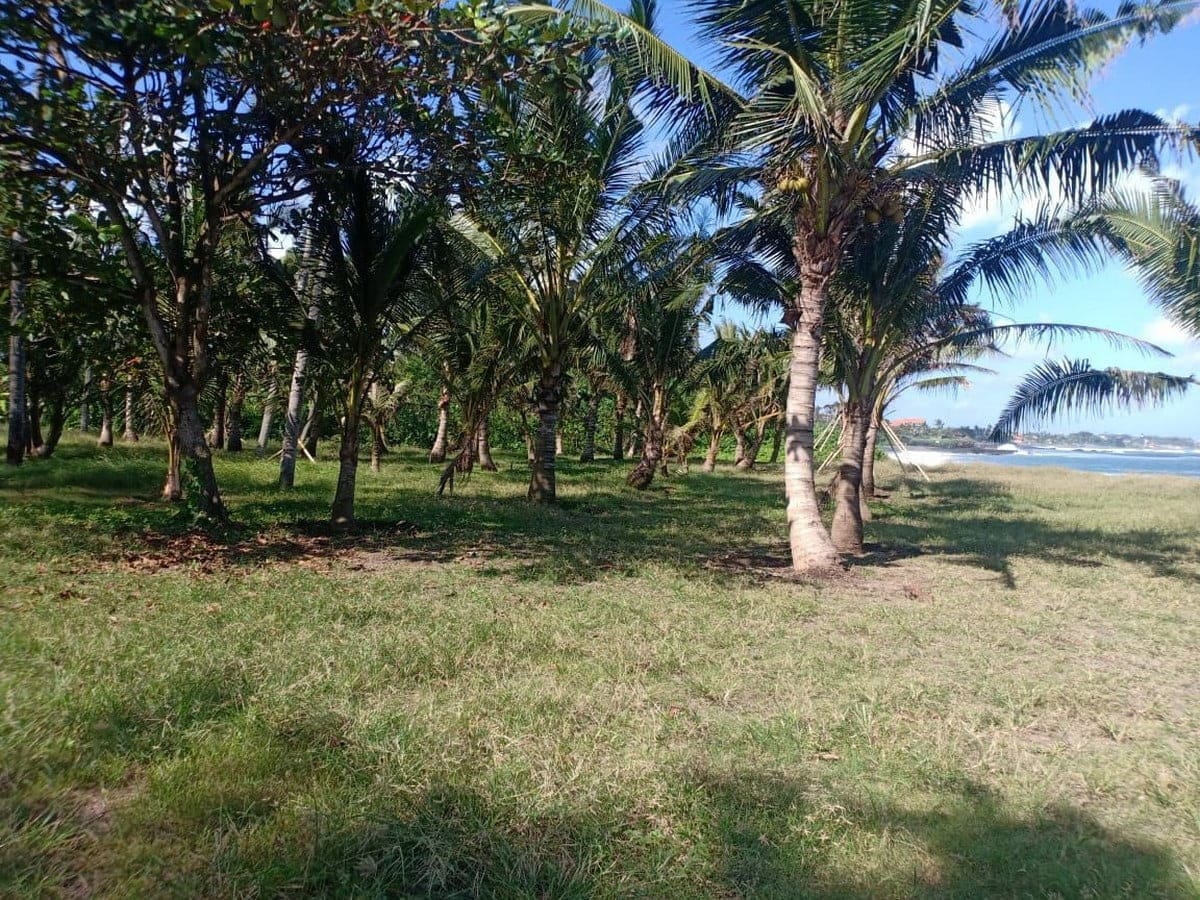 Stunning Large Beach Plot in Seseh – Canggu - Foto 2