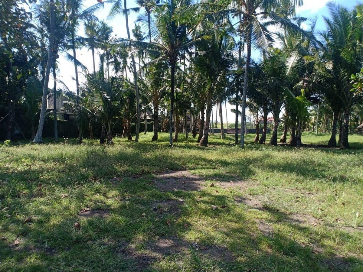Stunning Large Beach Plot in Seseh – Canggu - Foto 3