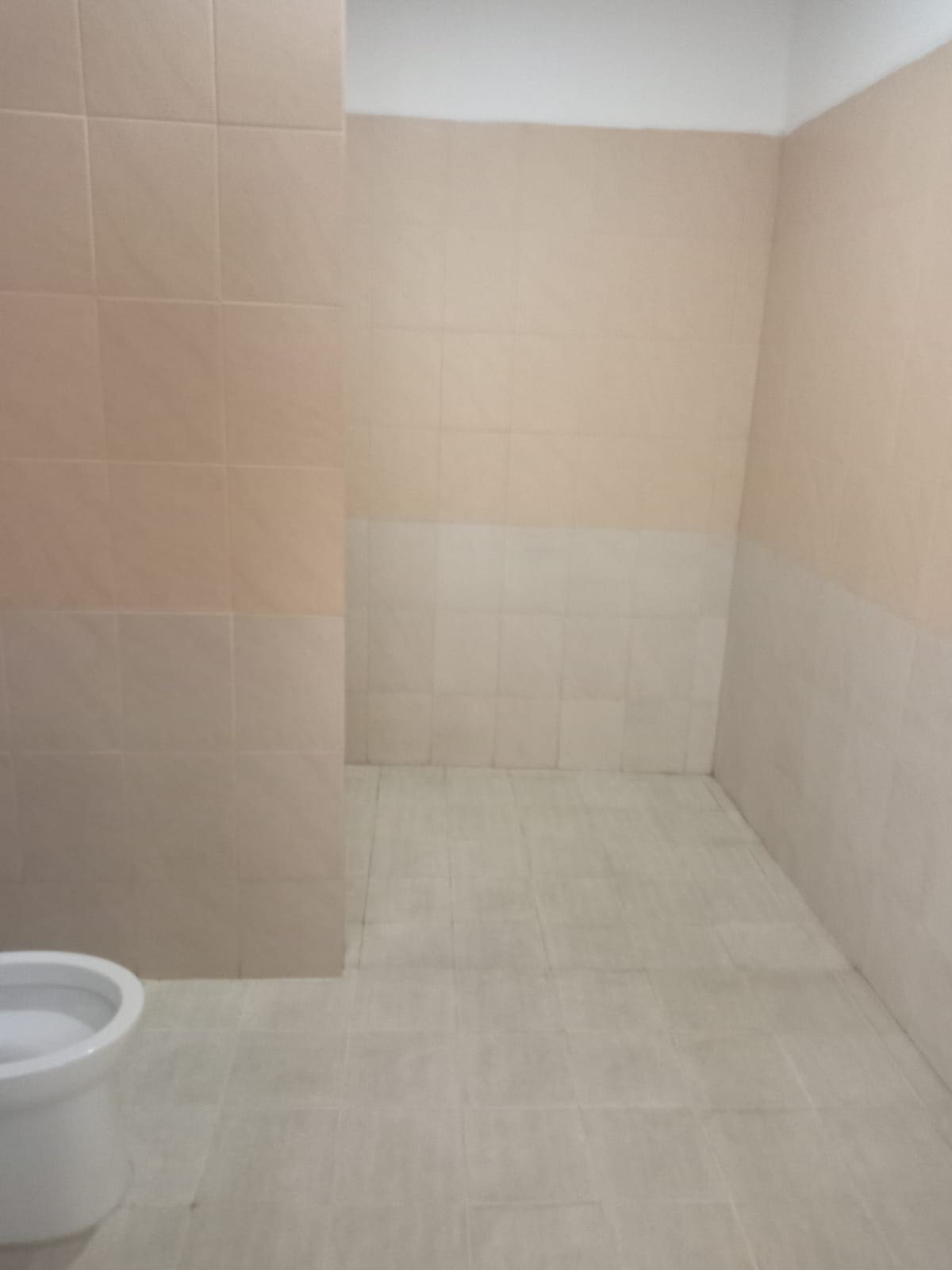 Dijual rumah luas di wilayah bintaro tangerang selatan - Foto 19