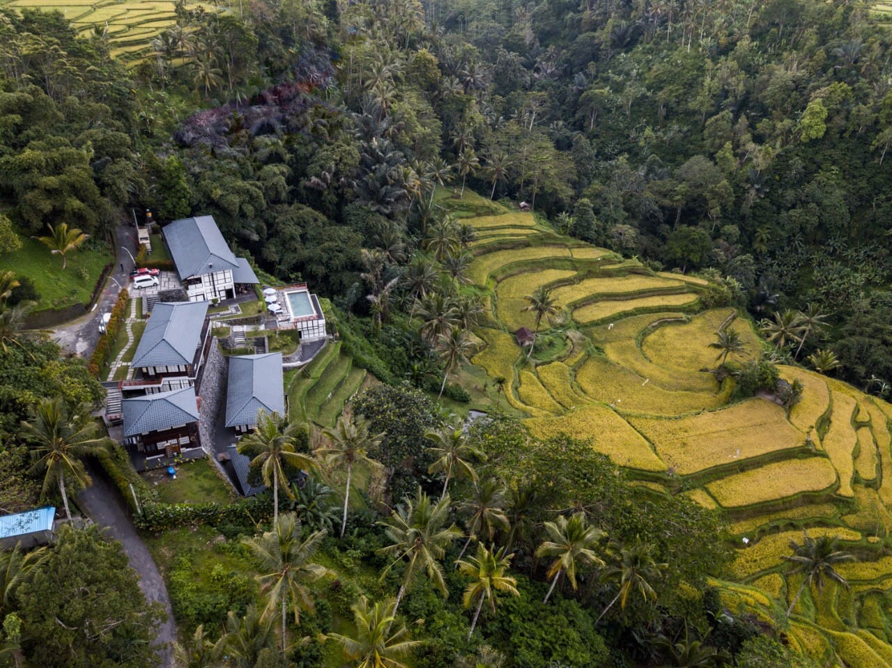 Breathtaking Resort With Rice Terrace &amp; Valley Views