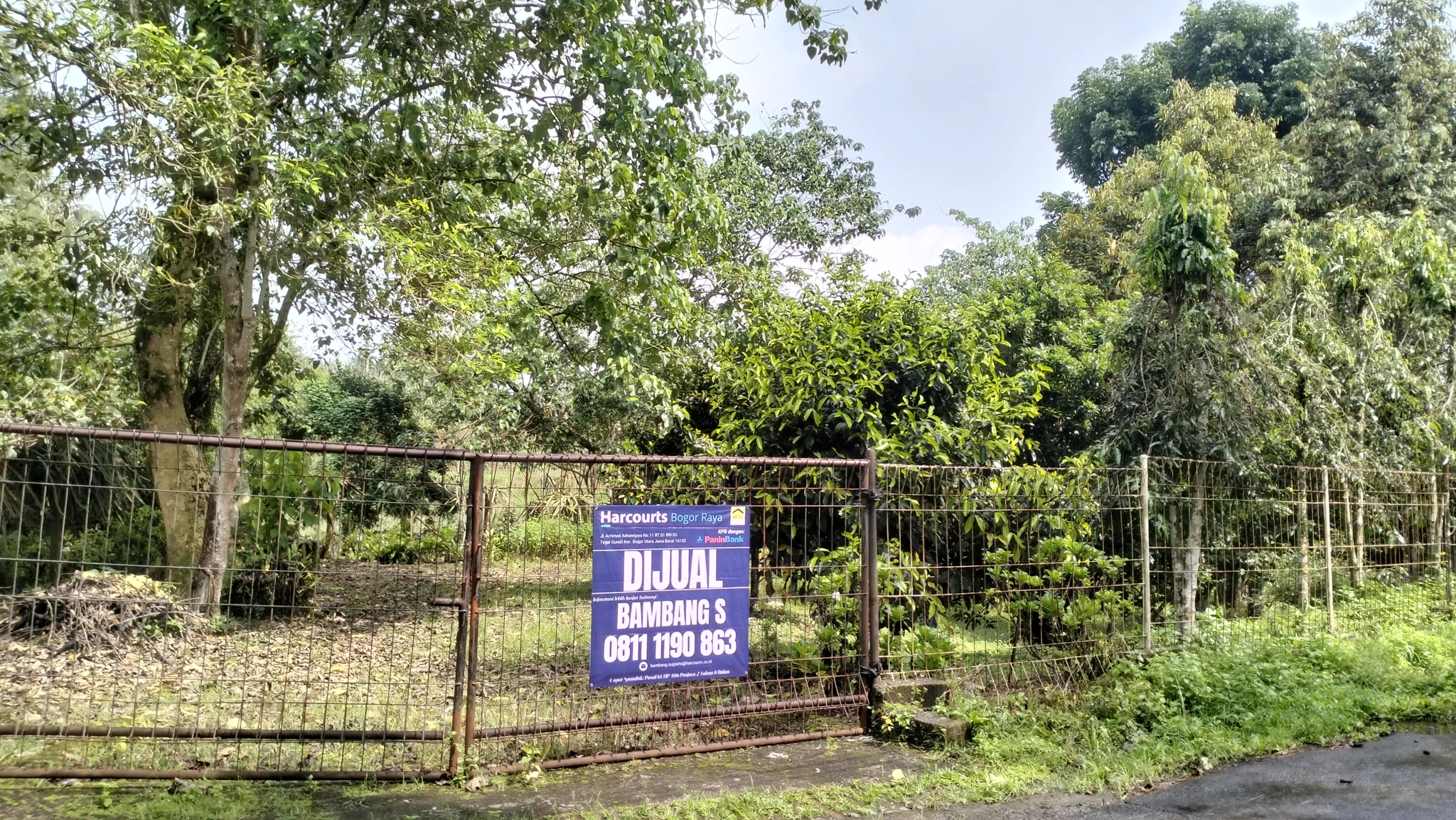 3.400 METER PERSEGI TANAH DIJUAL WARUNG LOA TAMANSARI CIAPUS KABUPATEN BOGOR - Foto 3