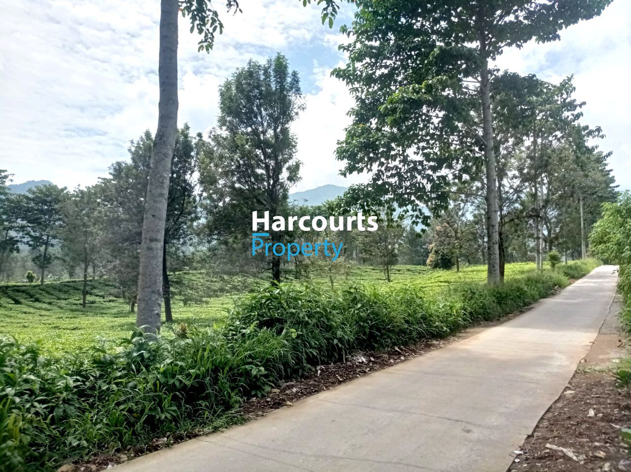 Dijual Tanah Super Luas Area Bogor - Foto 2