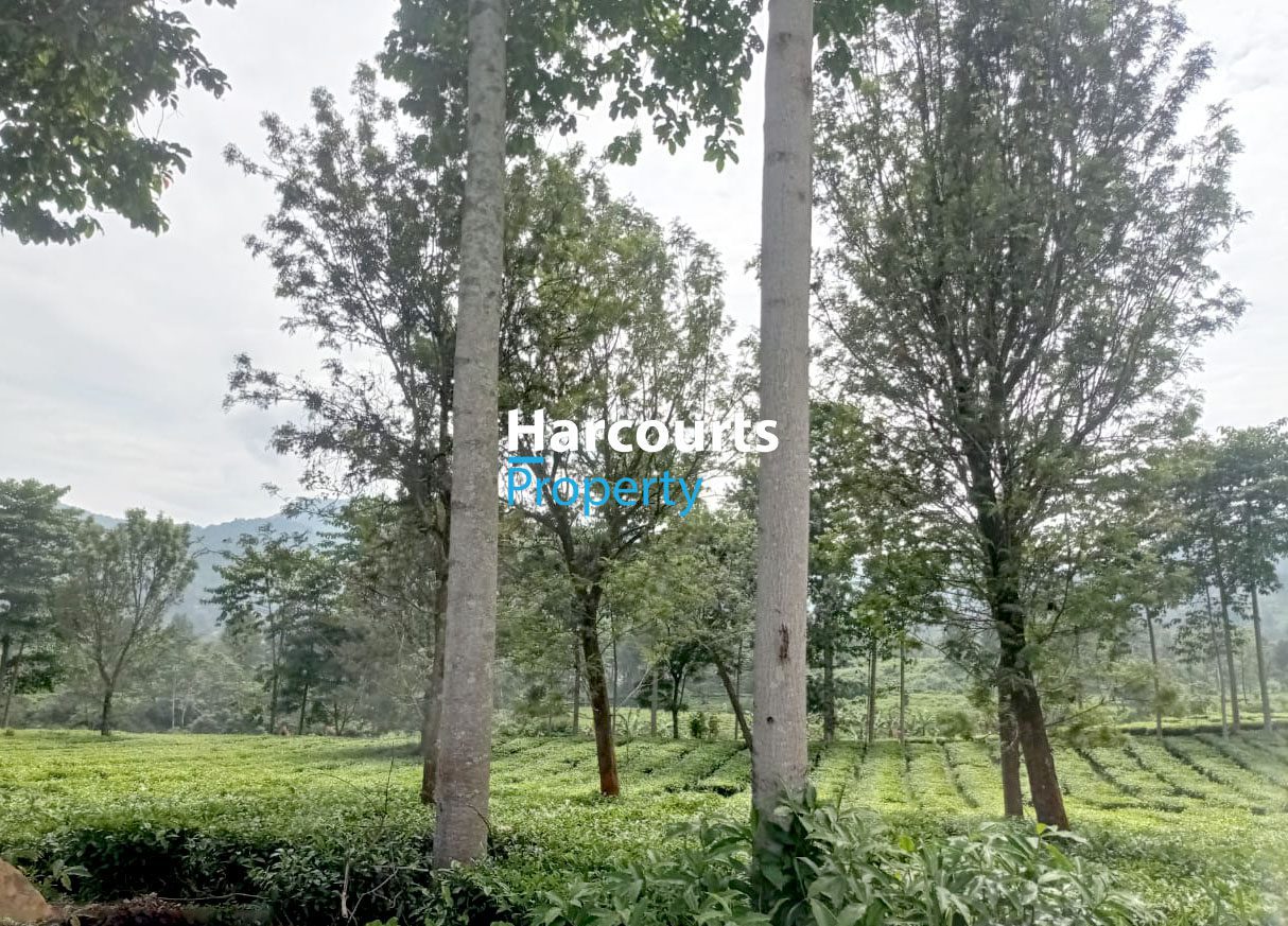 Dijual Tanah Super Luas Area Bogor - Foto 3