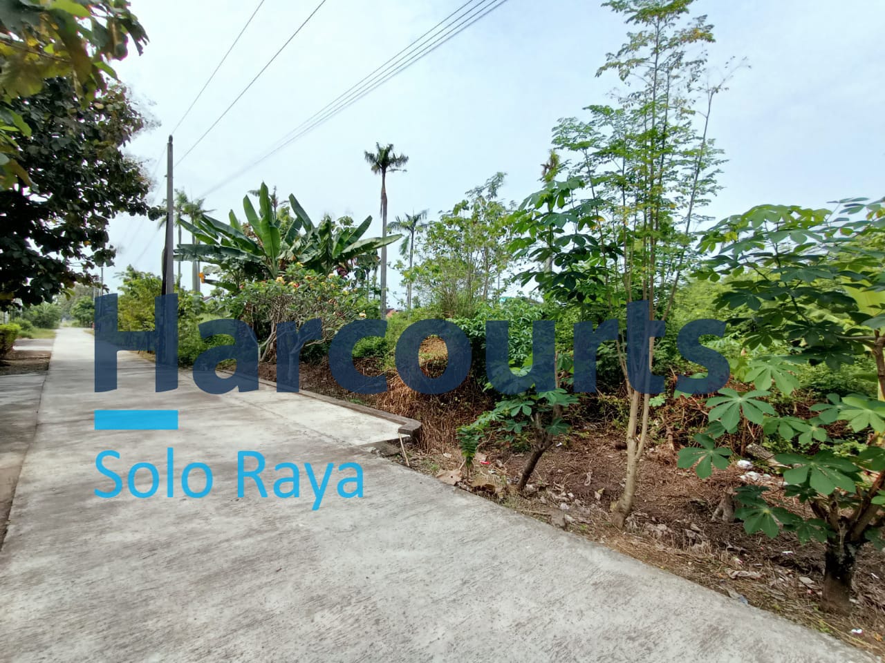 Dijual Cepat! Tanah Potensial di Solo, 5 Menit ke Bandara dan Embarkasi Haji - Foto 5